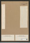 Rhizosolenia alata Brightw. (de-Toni-Nr.: Genus 114, Species 3311) Zeichnungen Sammlung Grunow Nr. 6699 (NHMW-BOT-W0375501)